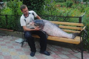 Рыбалка в Украине: Новый рекордный улов Тернопольской области