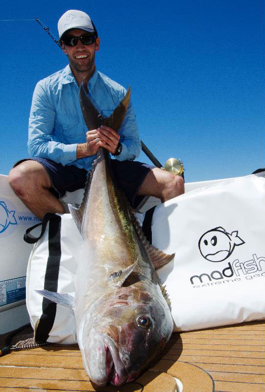 Редкий желтохвост весом 29,7 кг., пойманный в Австралии