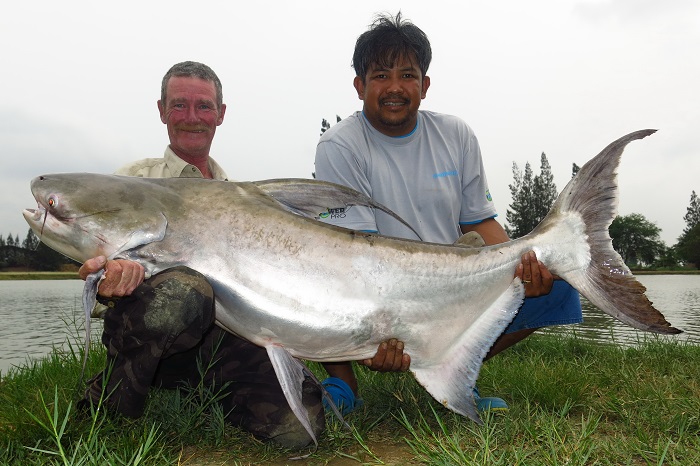 Англичанин Гэвин Кларк с сомом весом 66 кг., пойманным в Тайланде