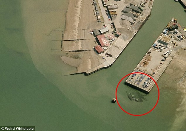Фото гигантского краба у берегов английского городка