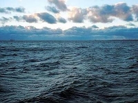 Ученых из Финляндии пугает состояние Балтийского моря