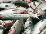 В Пруду на Кировоградщине погибла тонна рыбы