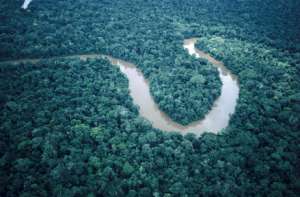 По мнению ученых реке Амазонке около 11 млн. лет