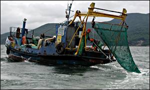 В России изменены Правила рыболовства для Дальневосточного бассейна