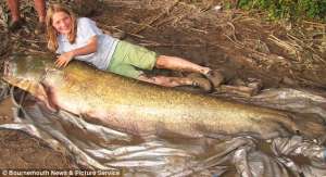 Одинадцатилетняя рыбачка из Англии поймала трехметрового сома