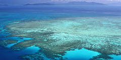 Австралия: Операция по спасению экологии Большого Барьерного рифа