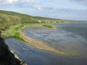 Россия: На берегу Томи прошли областные соревнования рыболовов