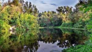 Украина: Пересыхает одна из самых чистых рек Восточной Европы - Ориль