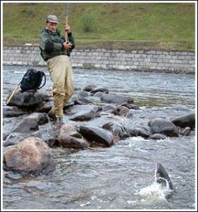Мурманские рыбаки: Даешь лицензию на семужью рыбалку на реке Кола!
