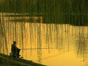 В Беларуси будет внедрена система лицензирования рыбной ловли