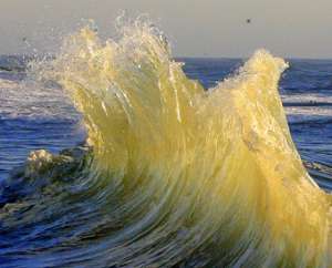 Уровень воды в мировом океане поднимется минимум на 2 метра - ученые