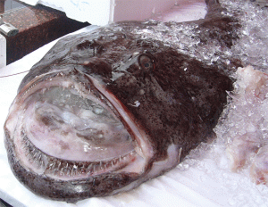 Россельхознадзор: Рыба из Норвегии опасна для здоровья.