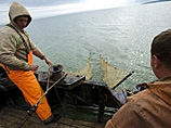 В Черном море установлена квота ны вылов рыбы