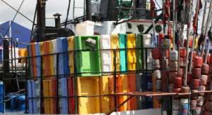 Одобрены квоты на вылов рыбы в Балтийском море; любительскую рыбалку ограничивать не будут