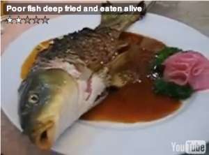 Бурю негодования защитников прав животных вызвал ролик о поедании китайцами живой рыбы (видео)