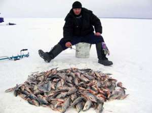 Где под Барнаулом уже можно заняться зимней рыбалкой?