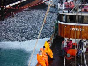 В Евросоюзе сократили квоты на рыбный промысел