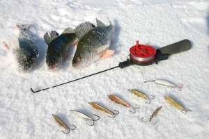 "Киеврыбохране" стеречь зимовальные ямы помогают рыболовы