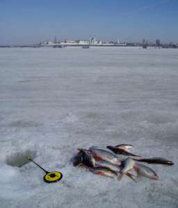 В Гидрометцентре Санкт-Петербурга определили безопасные места для зимней рыбалки