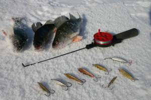 В Тульской области самый популярный вид досуга - зимняя рыбалка