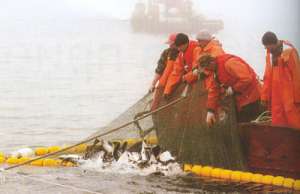 В Корее подпишут соглашение по управлению рыболовством в северной части Тихого океана