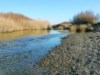 Река Нура - основной поставщик воды Казахстана - превратилась  в смертоносный источник