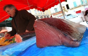 Эксперты ООН собираются полностью запретить экспорт атлантического голубого тунца