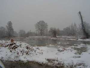 МЧС Украины прогнозирует подъем уровня воды в реках Ровенской и Житомирской области