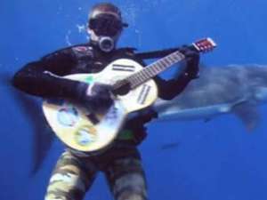  Эколог спел под водой для белой акулы (видео)