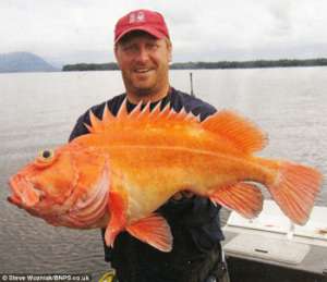 Стив Возняк из Калифорнии стал первым в мире рыбаком, поймавшим 1000 различных видов рыб (8 фото)