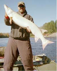 Рыбак из Висконсина поймал редчайшую маски весом более 23 кг.!