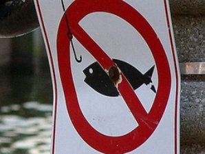 В Крыму с 1 апреля начинается запрет на рыбную ловлю