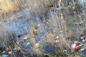 Экологи: К 2020 году Киев может остаться без озер...