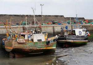 Еврокомиссия предлагает платить рыбакам за мусор