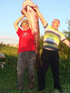 Рыбалка в Украине: В Житомирской области большие сомы водятся, места ловли надо знать