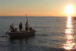 Запрет ловли: В Италии рыбалка на море временно запрещена