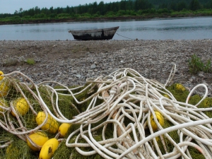 Рыбалка в Украине: В реках запретят вылов рыбы?