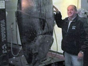 Рекорды рыбалки: У рыбака конфисковали рекордного тунца весом 400 кг
