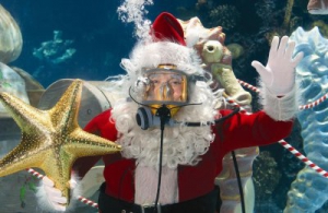 Подводные поздравления Санта Клауса