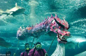 В честь года водного дракона в Сингапуре танцуют под водой