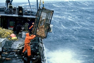 Правила ловли: В Британии факты несанкционированной рыбалки отслеживают со спутника