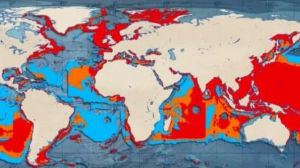 Специалисты WWF оценили темпы распространения рыбалки в мире