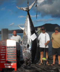 Рекорды рыбалки: В Новой Зеландии рыбак поймал на спиннинг тунца весом 335 кг 