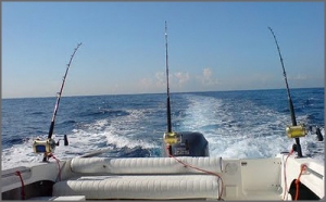 Правила ловли: Рыбак из Малайзии отсидел в тюрьме 3,5 года за морскую рыбалку