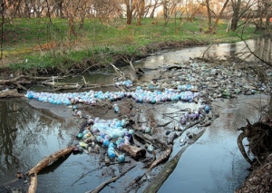 Рыбалка в Украине: В Луганской области восстановят реки Лугань и Северский Донец