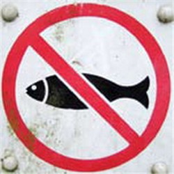 Рыбалка в Молдове: Запрет на рыбалку в связи с нерестом продлится 90 дней