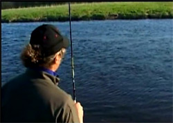 Видео рыбалки от Kotas: рыбалка на реке Муша, ловля рыбца