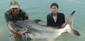 Рыбалка в Тайланде: Рыбак из Англии поймал большого сома - рекорд рыбалки.