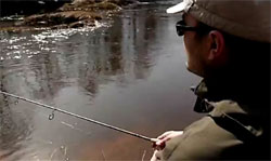 Видео рыбалки: ловля форели на реке нахлыстом и спиннингом