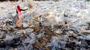 Особенности национальной рыбалки в Индии: Рыбаки теряют уловы из-за пластика